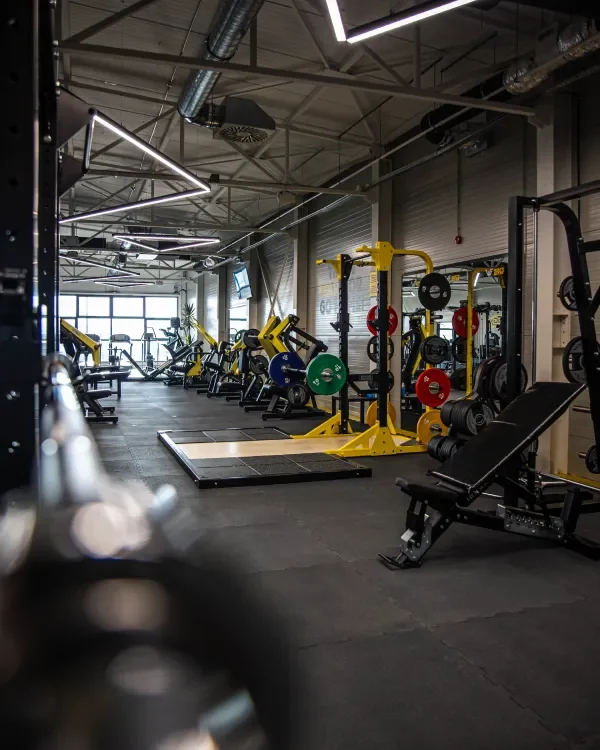 wolfs-gym-oprema